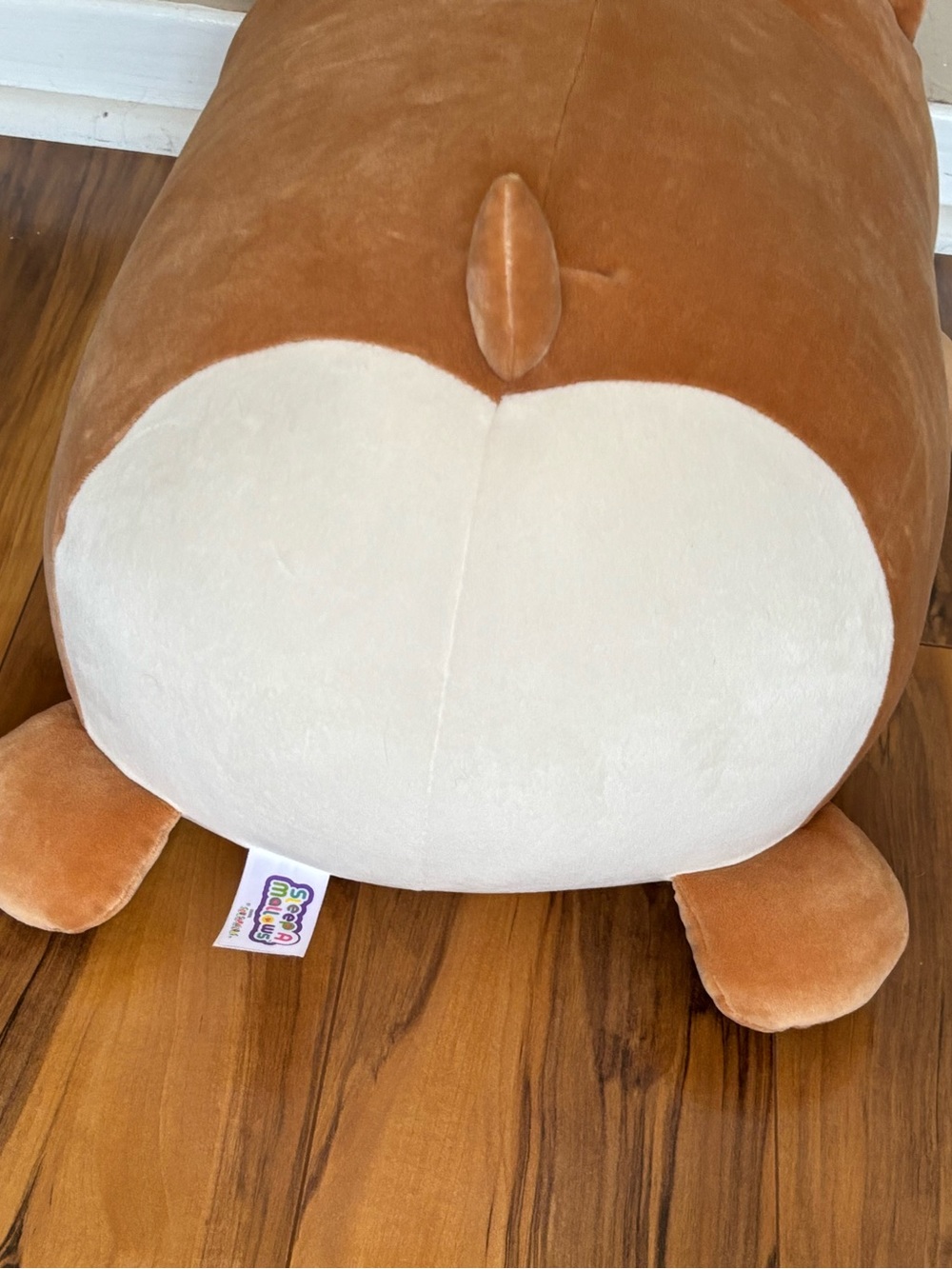 Squishmallow Cute Brown & Cream  Plush Corgi Dog named Regina - Picture 6 of 6